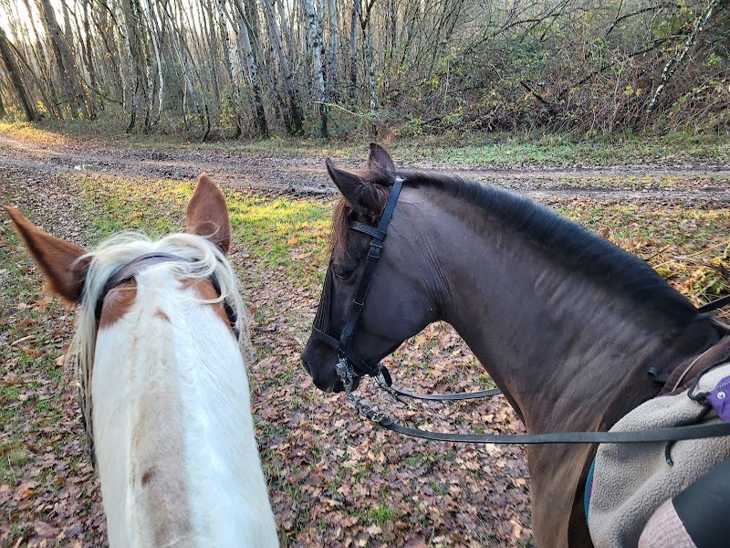 Écurie de Marsin - photo 3