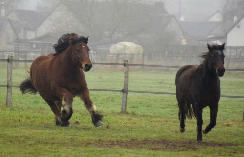 Pension de la Vallière