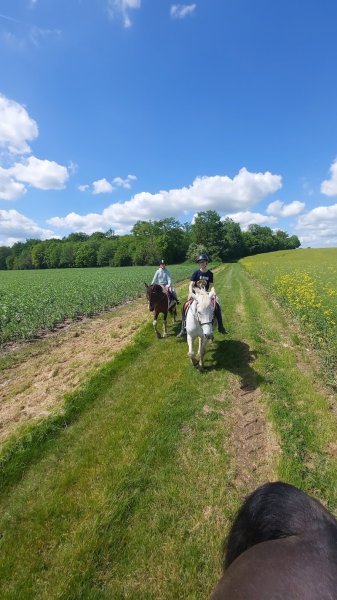 Les Chevaux de la Lande - photo 2