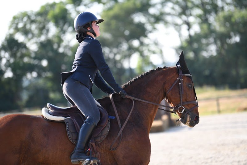 Domaine équestre Les Moreaux - photo 3