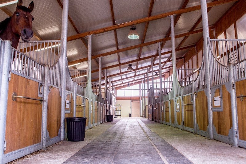 Ecuries Vineuil Jump