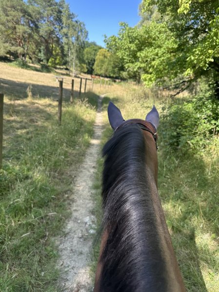 Ecuries Du Ponceau - photo 1