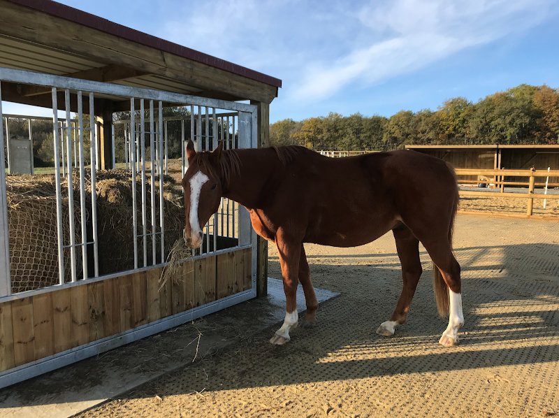 Ecuries Du Ponceau - photo 2