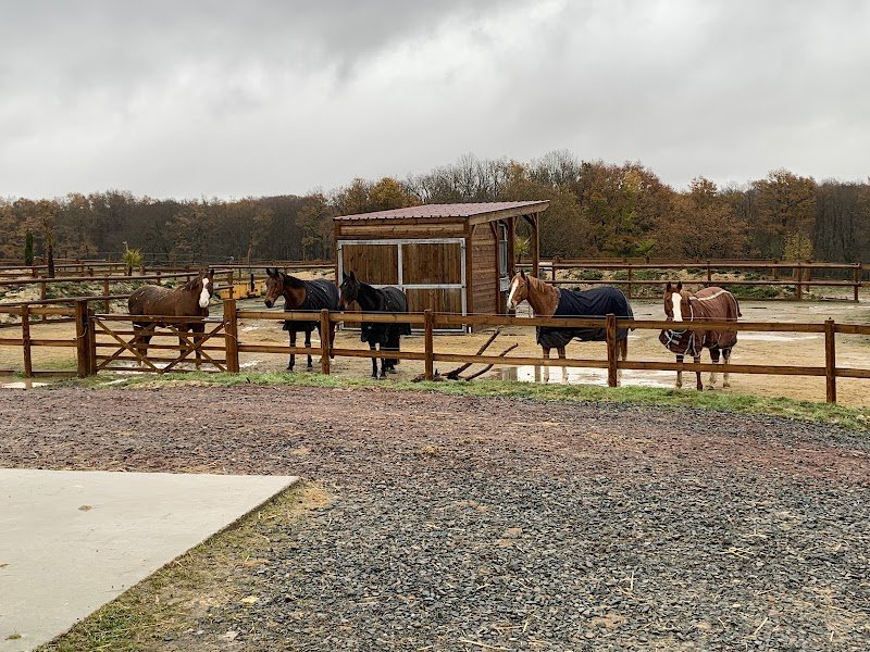 Ecuries Du Ponceau - photo 3