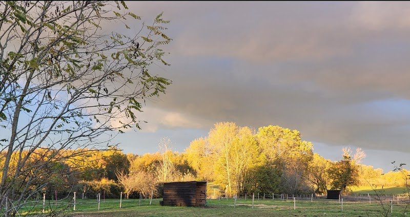 Les Écuries du Domaine de la Harpe - photo 1