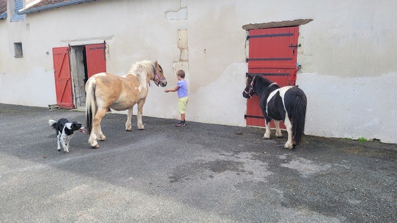 Les Écuries du Domaine de la Harpe - photo 3