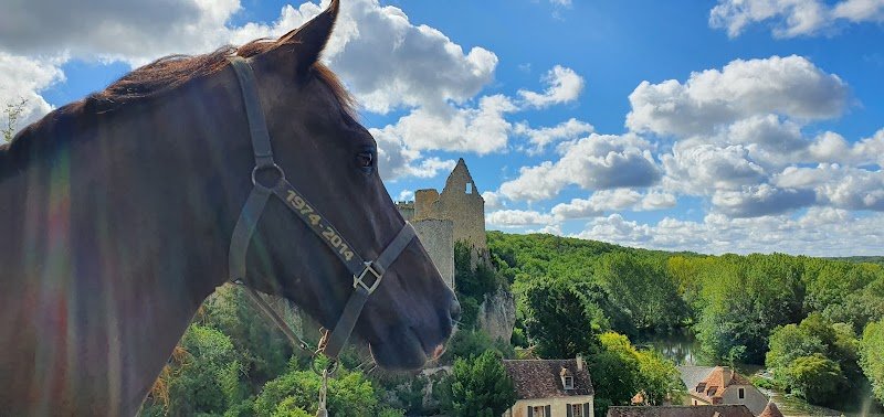 Ecurie Piaffe et Cie - photo 1