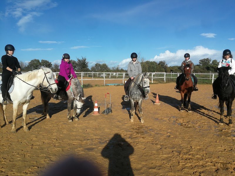 Écurie les p'tits sabots - photo 2