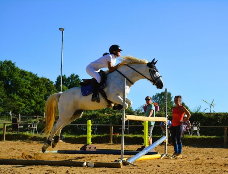 Pension Écurie les Crins de Lhommaize