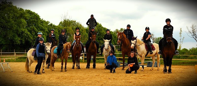 Pension Écurie les Crins de Lhommaize - photo 3