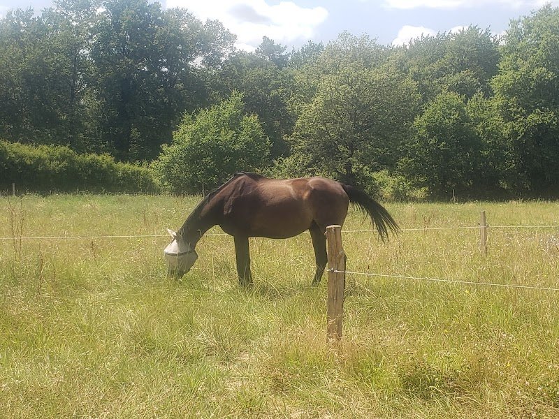 Pension Le Coquelicot - photo 1
