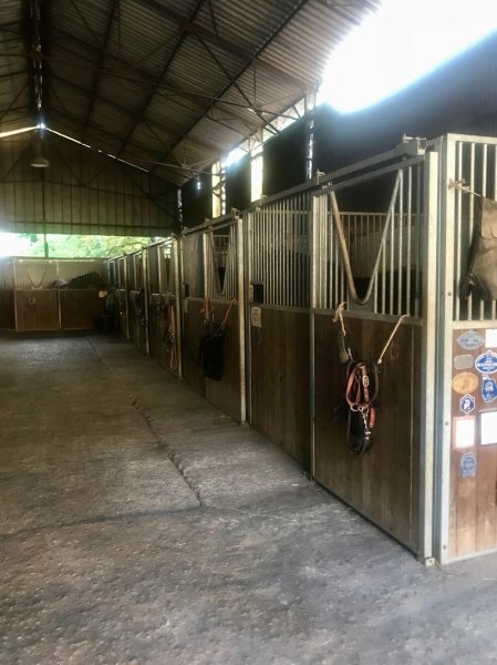 Ecurie de Champot - photo 3