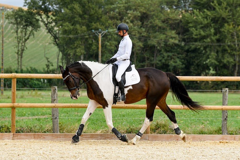 Écurie du Moulin, Antoine Lambert Écurie de propriétaire Indre et Loire - photo 1