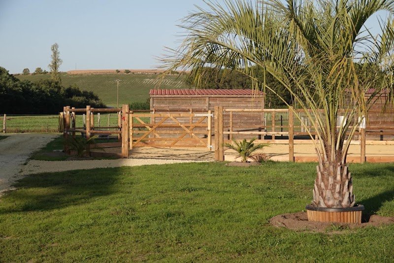 Écurie du Moulin, Antoine Lambert Écurie de propriétaire Indre et Loire - photo 3