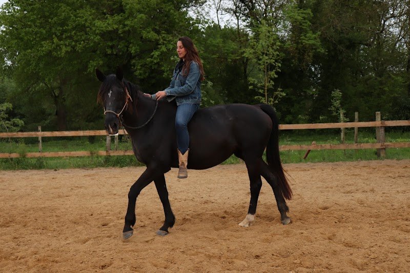 Les écuries de Marie