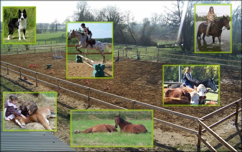 Les écuries de Marie - photo 3