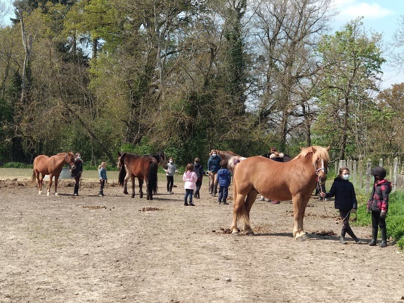 Centre Equestre de la Virevolte - photo 2