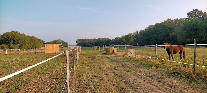 Les écuries de la Galiniere - photo 2