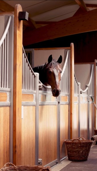 Ecurie Augustin Massin - photo 2