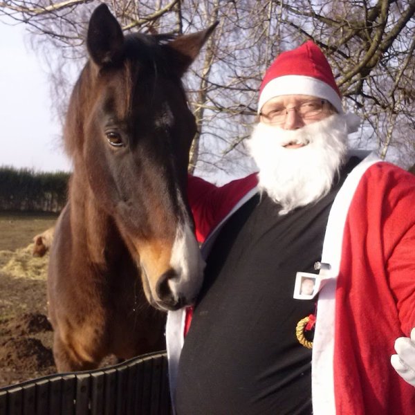 C.S.A Chevaux sans abri - photo 1