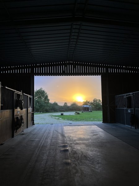 Les Ecuries de la Chevrière - photo 2