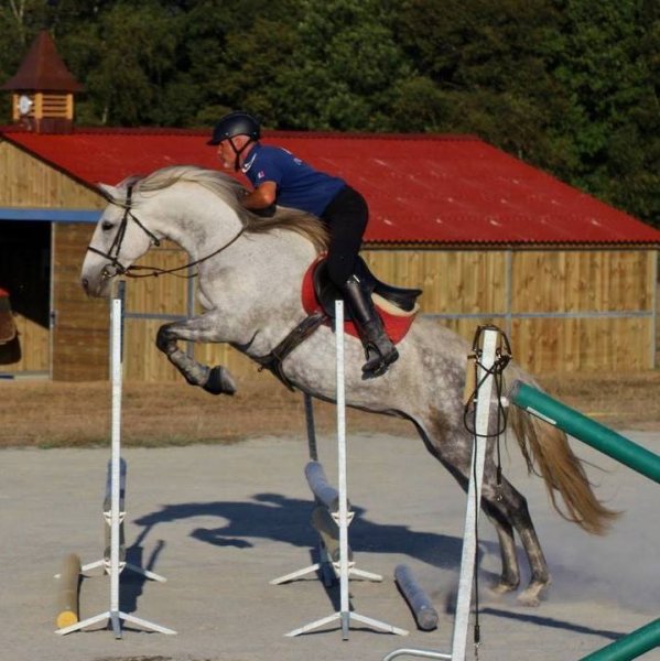 Cheval 87 Ecurie Villa Maria - photo 1