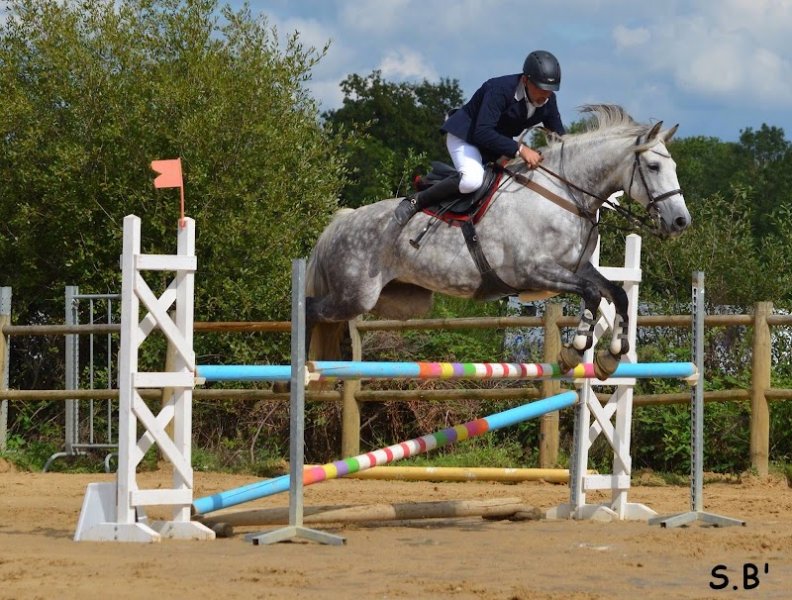 Cheval 87 Ecurie Villa Maria - photo 2