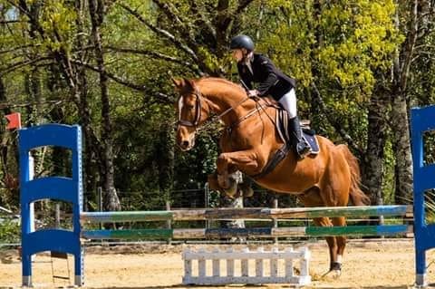 Les Écuries Du Lac - photo 1