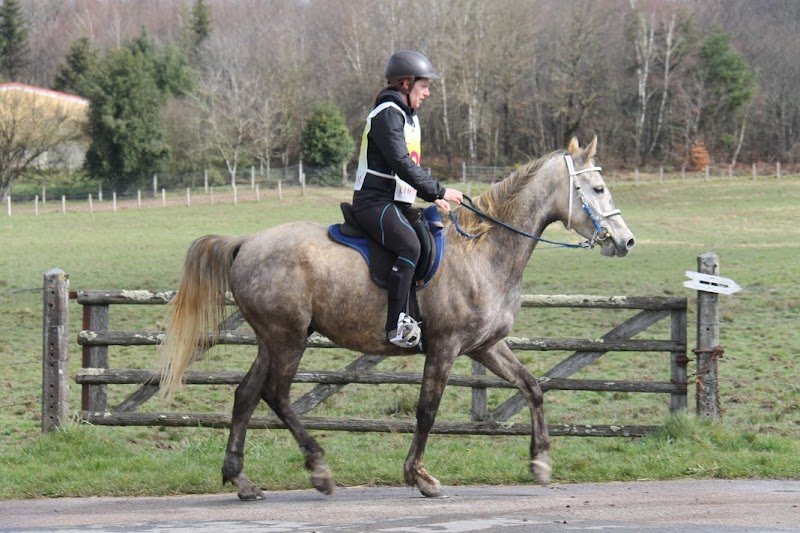 Les Écuries Du Lac - photo 2