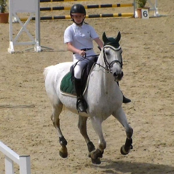 Les Écuries Du Lac - photo 3