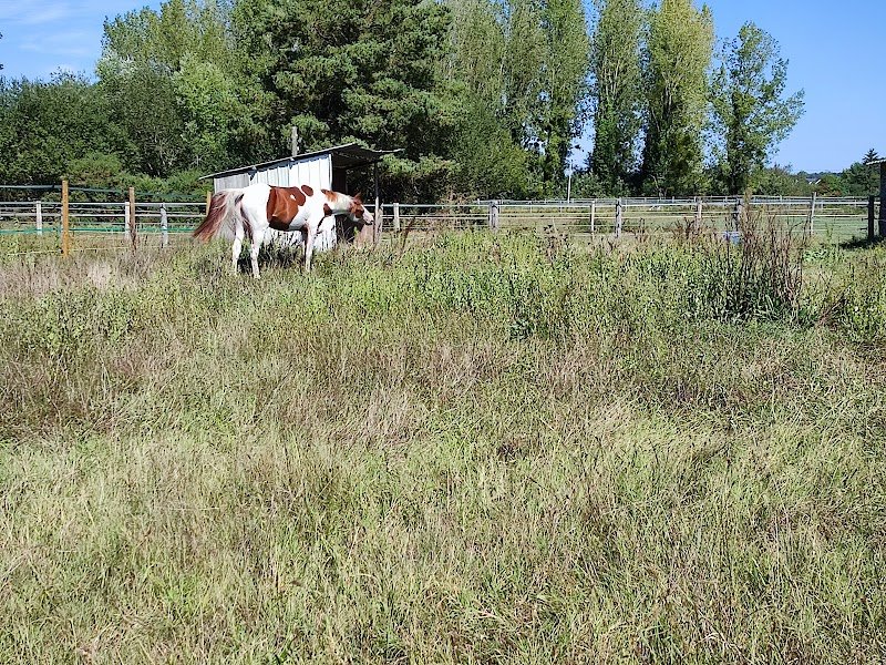 Ecurie des Archets - photo 1