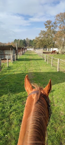 Ecurie des Archets - photo 2