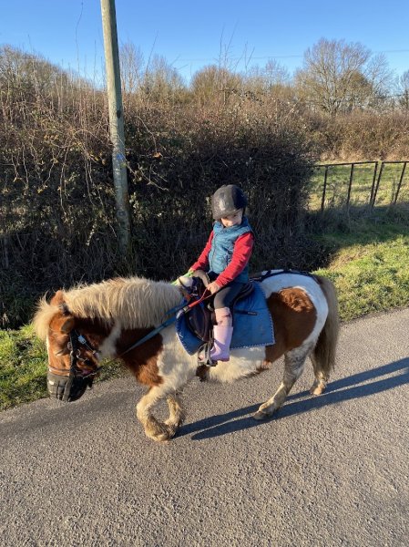 HARAS DES COURTILLETS - photo 2