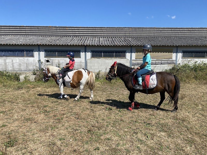 HARAS DES COURTILLETS - photo 3