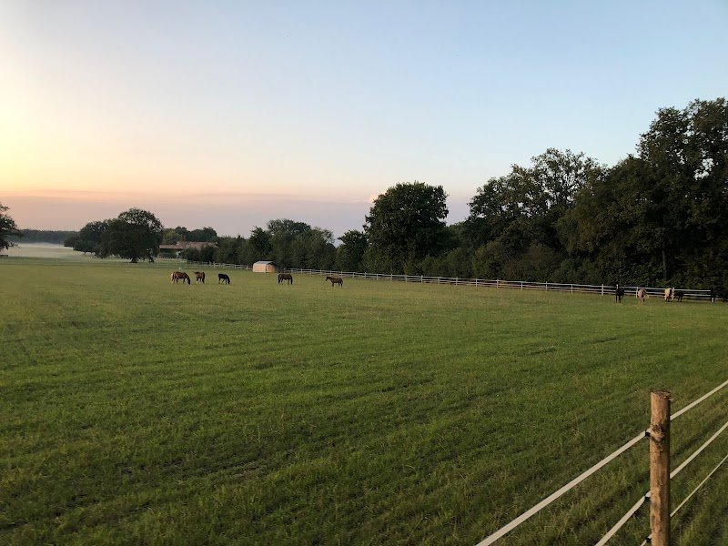 Haras du Gremillon - photo 1