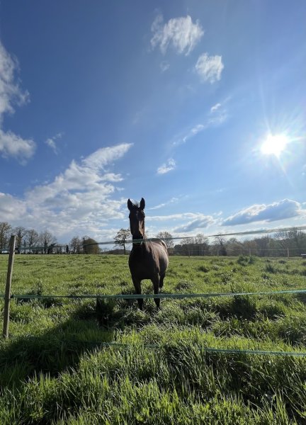 Ecurie EDR - photo 3