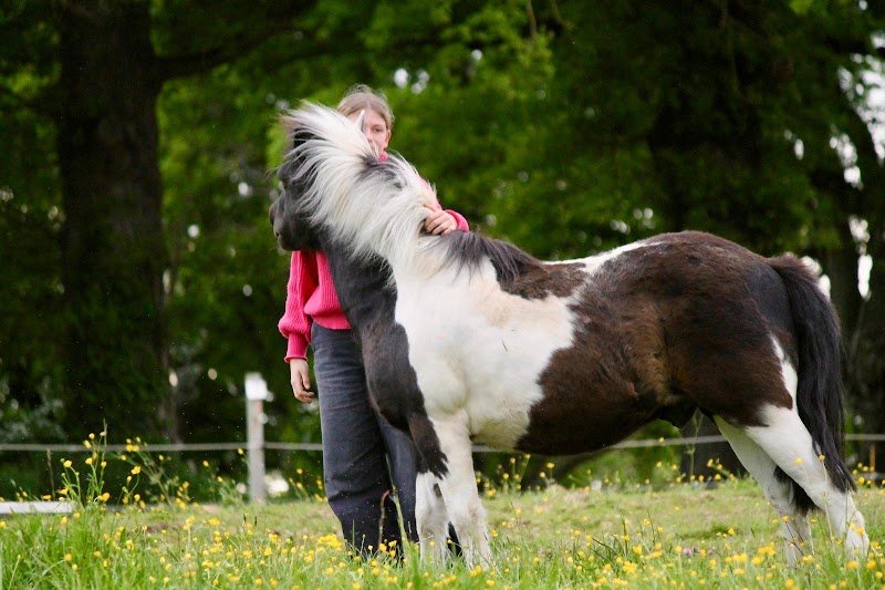 Ecurie de la croix - photo 3