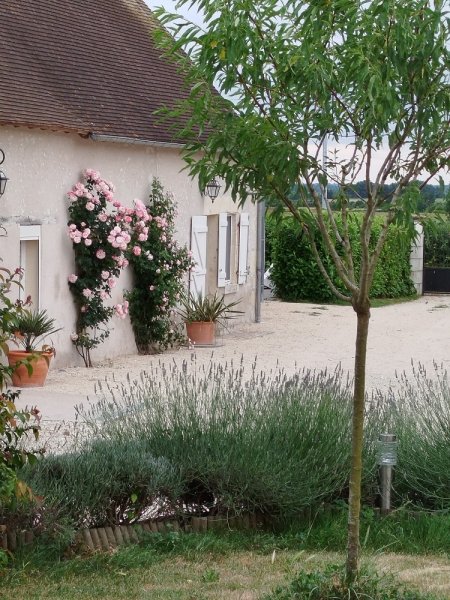 Le Clos de la fosse aux loups - Les écuries du Clos et la ferme du Clos - photo 2