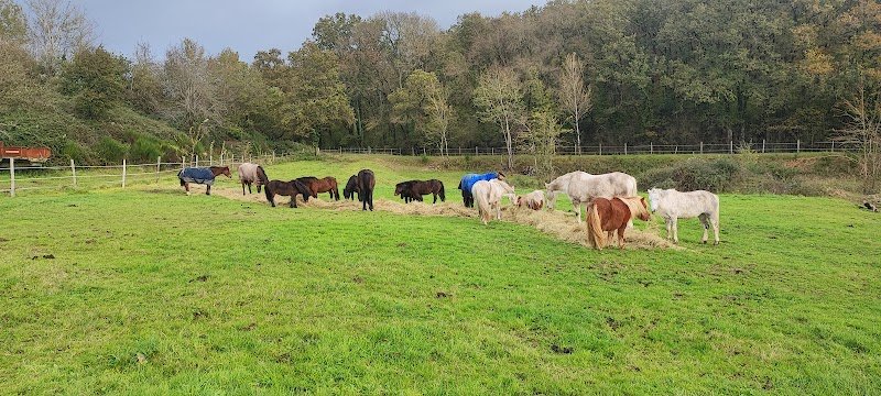 Ecuries de la Rouchouze - photo 2