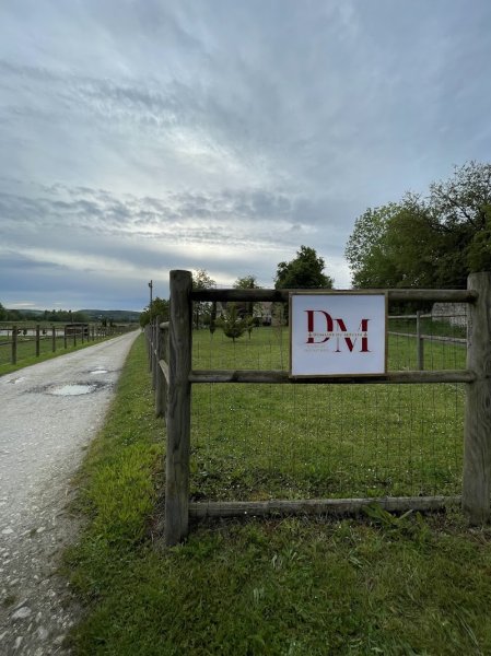 Domaine de Saint Ustre - Écurie de propriétaires - photo 2