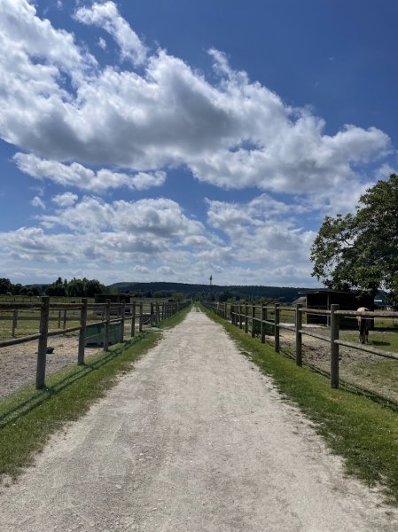 Domaine de Saint Ustre - Écurie de propriétaires - photo 3