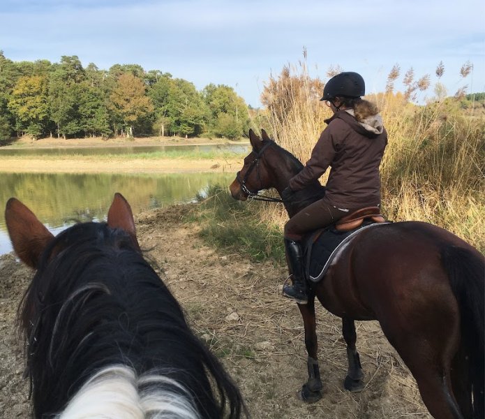 Pension pour chevaux Au Saut de la Vie - photo 1