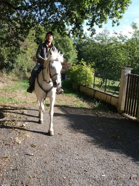 Pension pour chevaux Au Saut de la Vie - photo 3
