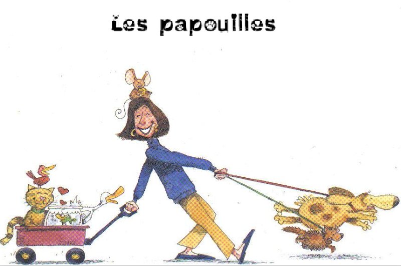 Les Papouilles Pension Familiale - photo 2