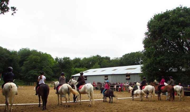 Centre Équestre et poney-club SAEL - photo 3