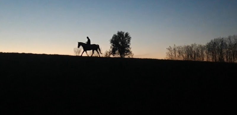 Ecuries et Elevage d'Astrée - photo 1
