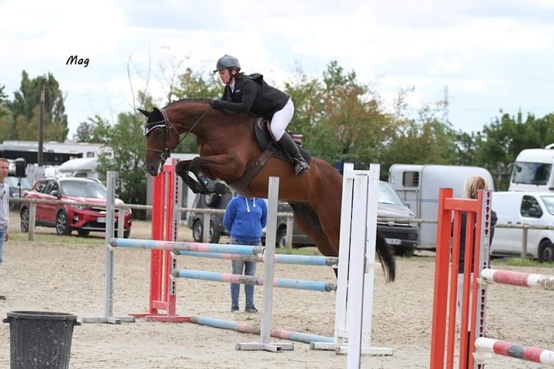 Ecuries et Elevage d'Astrée - photo 3