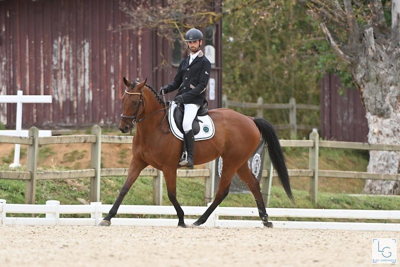 Les Ecuries de L'Auxance - Camille Jofrion - photo 1