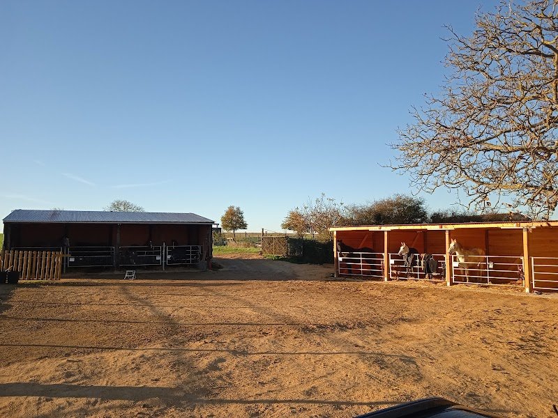 Les Ecuries de L'Auxance - Camille Jofrion - photo 2