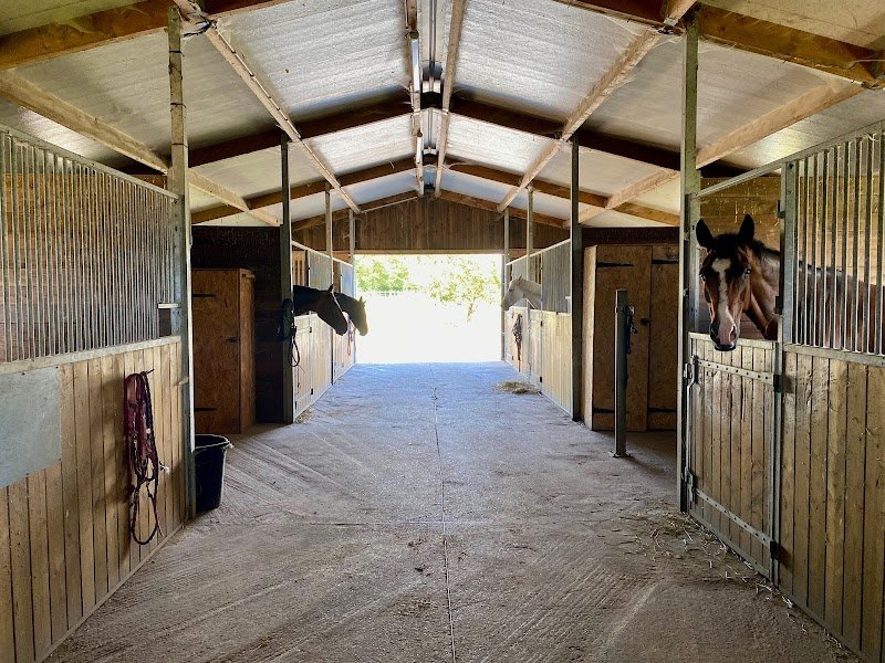 Ecuries Les Minières - photo 2